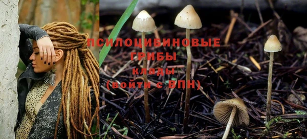 мяу мяу кристалл Арсеньев