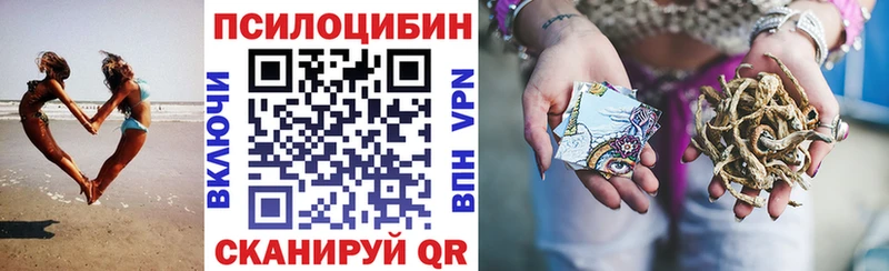 Псилоцибиновые грибы GOLDEN TEACHER  купить наркотик  Обоянь 